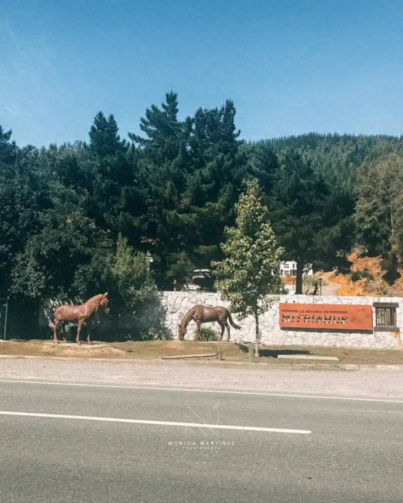 Terreno Mitrinhue